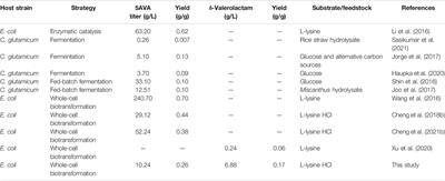 Coproduction of 5-Aminovalerate and δ-Valerolactam for the Synthesis of Nylon 5 From L-Lysine in Escherichia coli